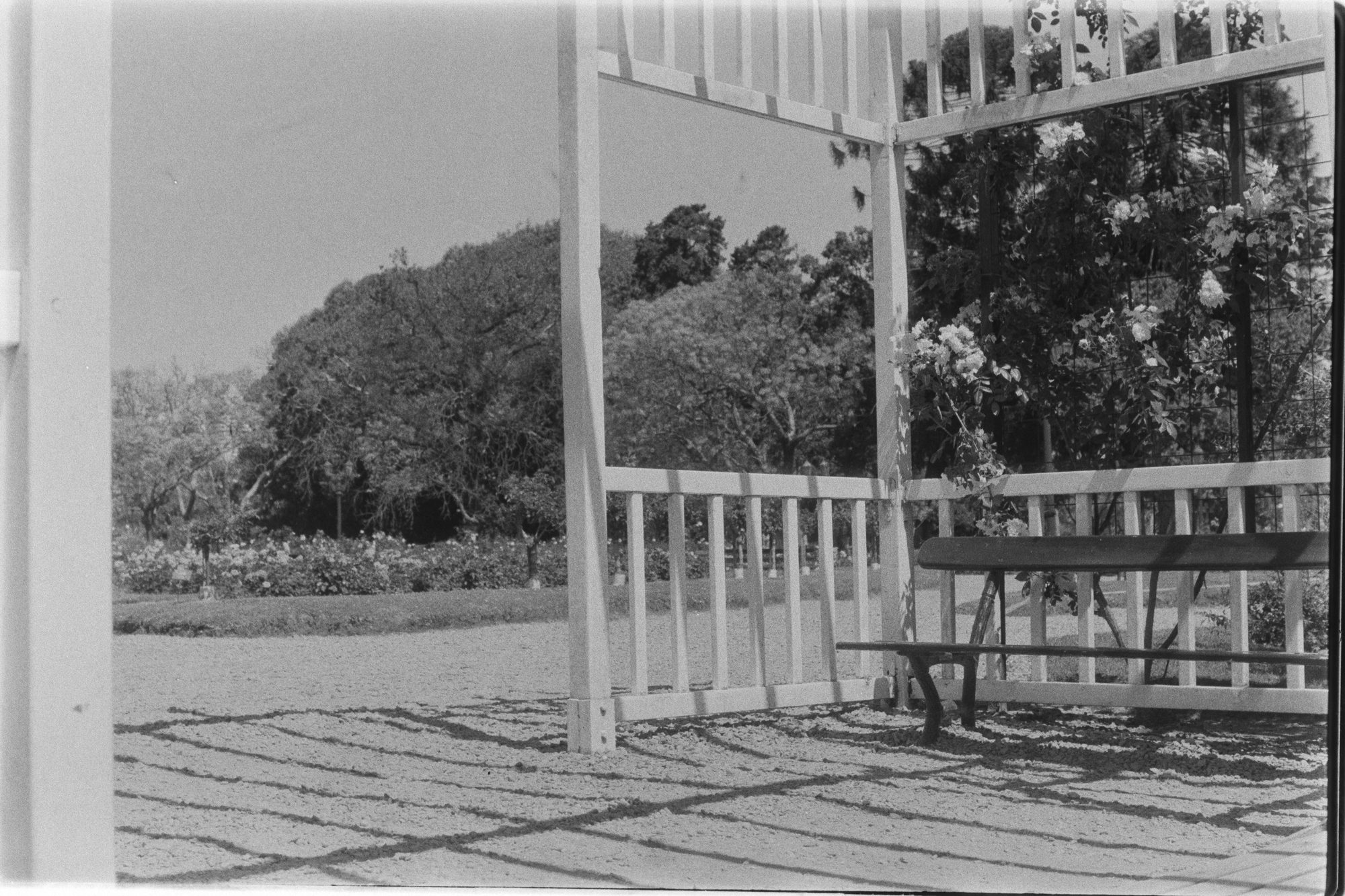 pensando en el parque II